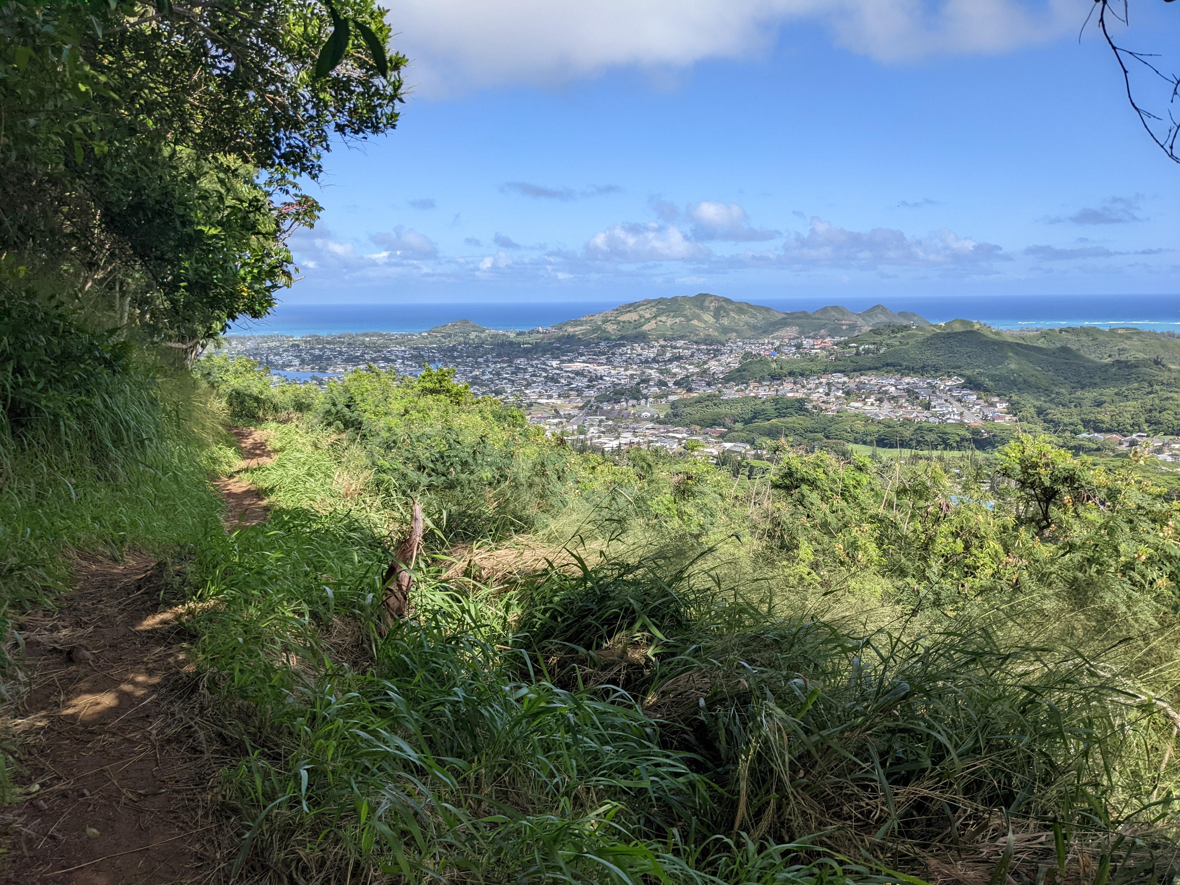 /images/hawaii-singletrack.jpg