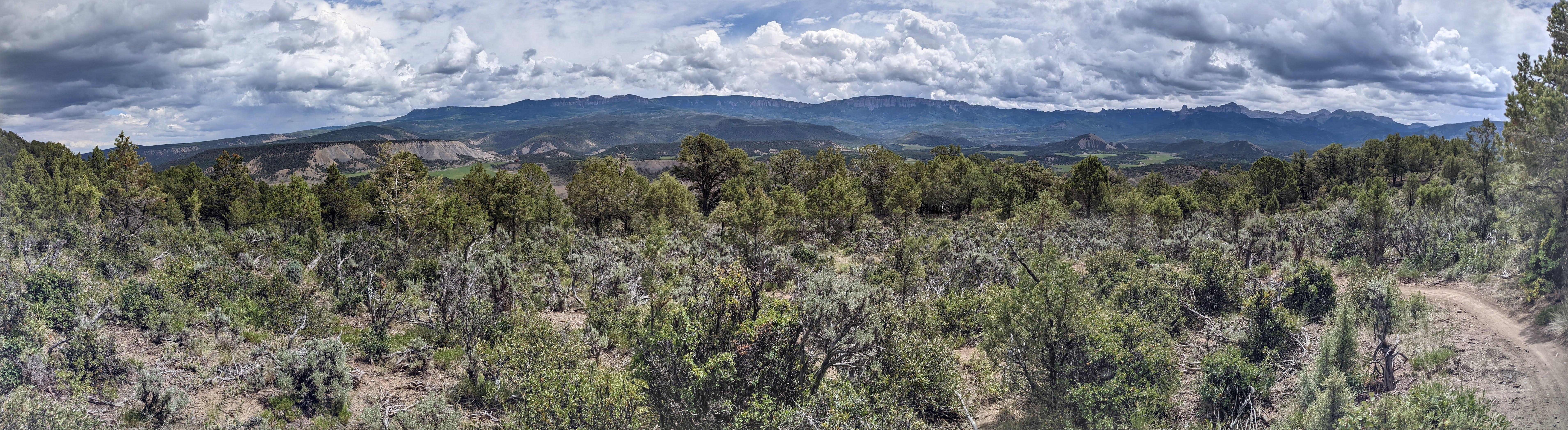 /images/rat-pano.jpg